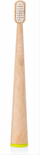 Load image into Gallery viewer, Self Standing Bamboo Toothbrush - Colored Bottom