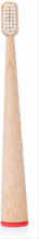 Load image into Gallery viewer, Self Standing Bamboo Toothbrush - Colored Bottom