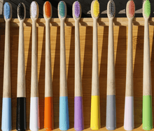 Load image into Gallery viewer, Cone Handle Toothbrush