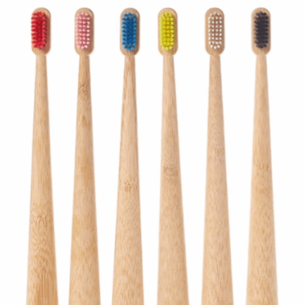 Self Standing Bamboo Toothbrush - Colored Bristles